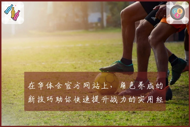 在华体会官方网站上，角色养成的新技巧助你快速提升战力的实用经验分享