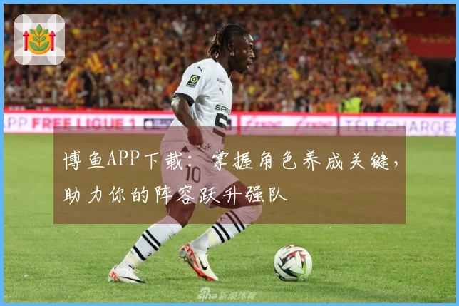 博鱼APP下载：掌握角色养成关键，助力你的阵容跃升强队